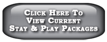 stay-play-logo